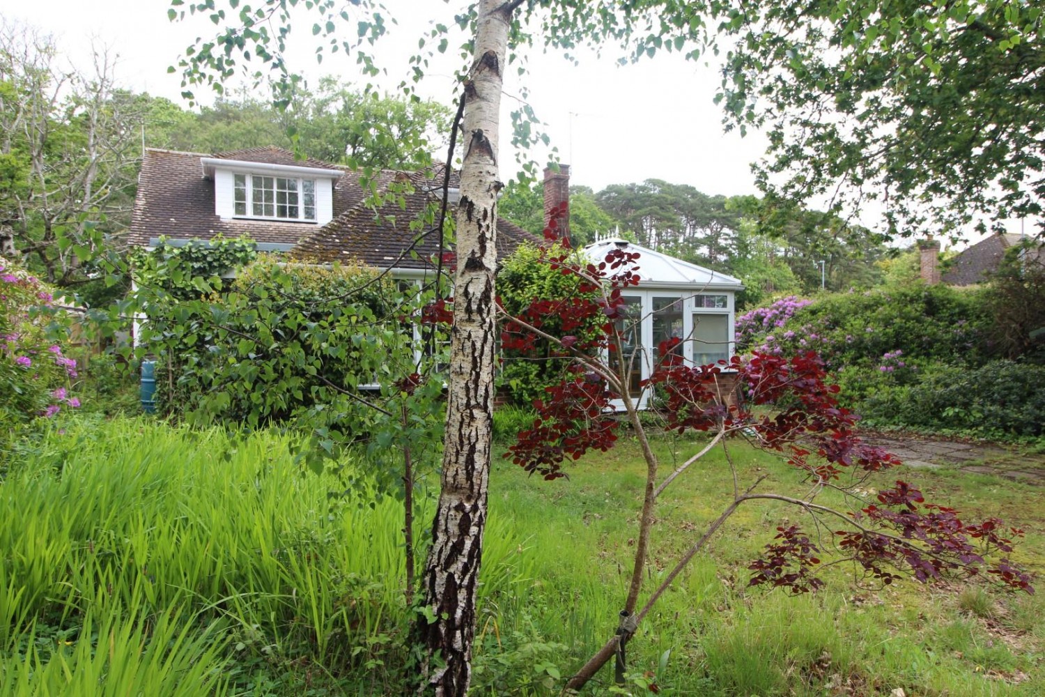 Woodhayes Avenue, Christchurch