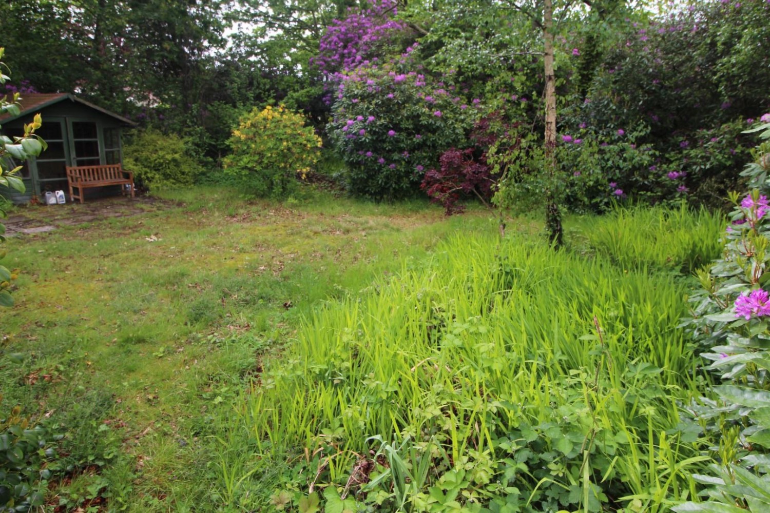 Woodhayes Avenue, Christchurch