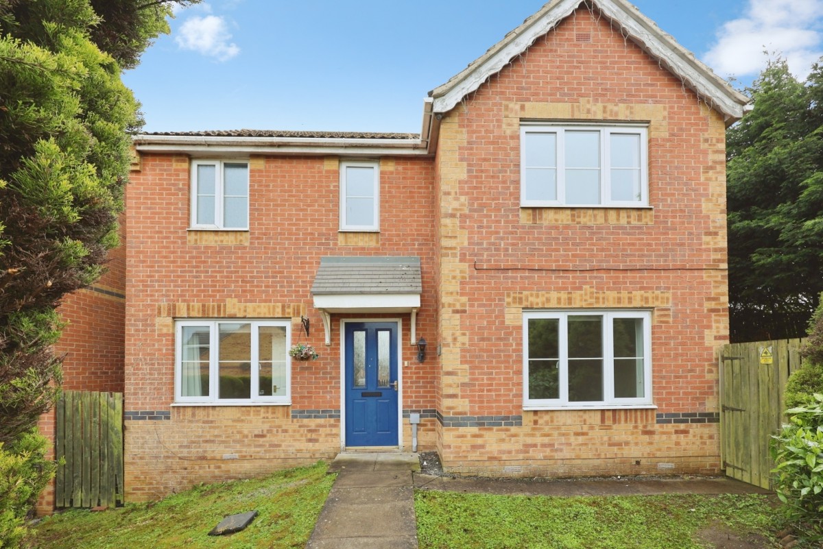 Primrose Drive, Shildon