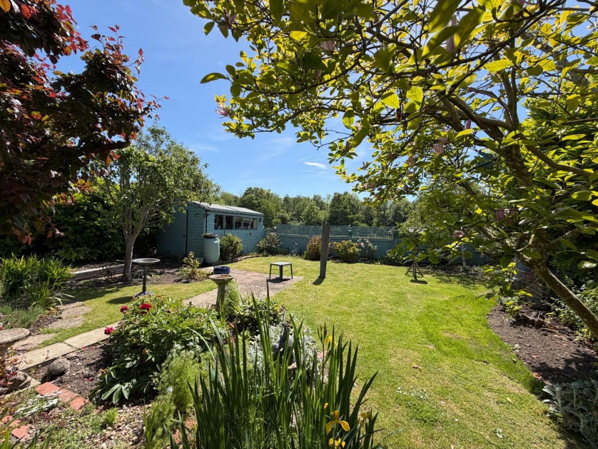 Peene, Folkestone