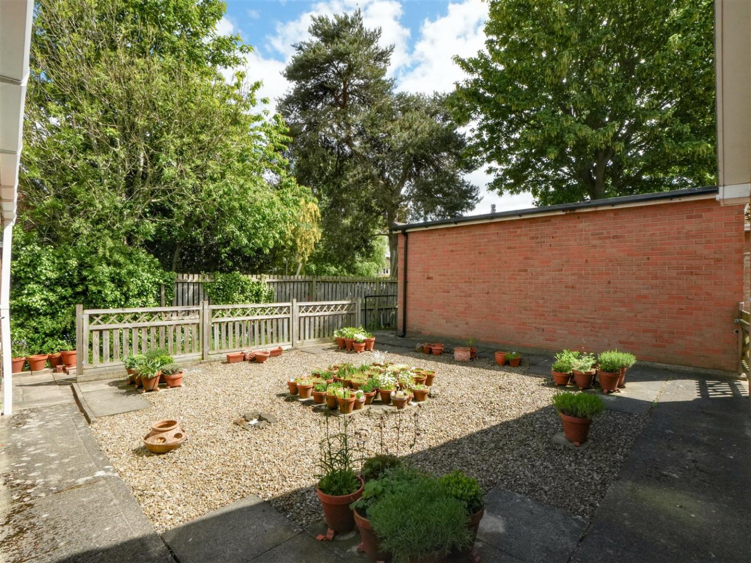 Ripley Grove, Wigginton, York