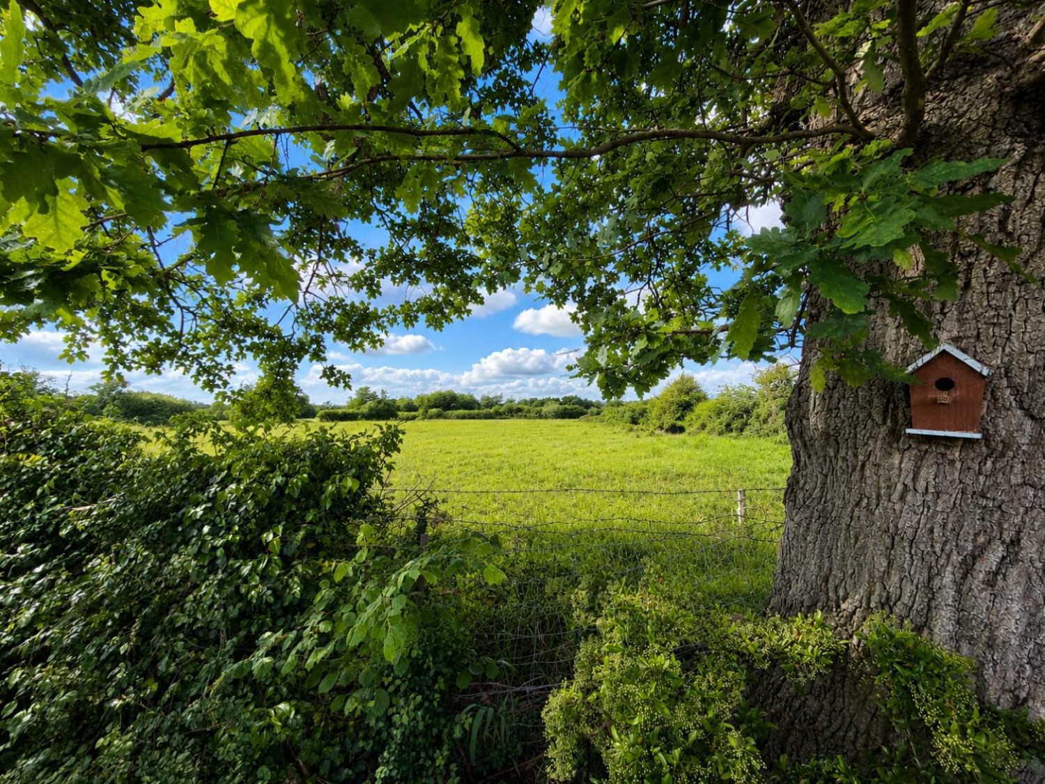 Ashford Road, Kingsnorth