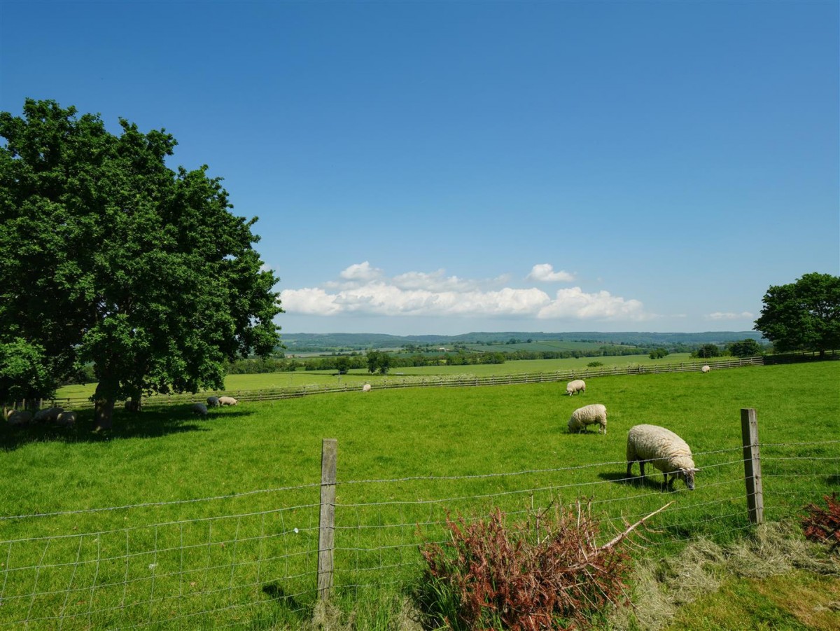 Low Street, Husthwaite, York