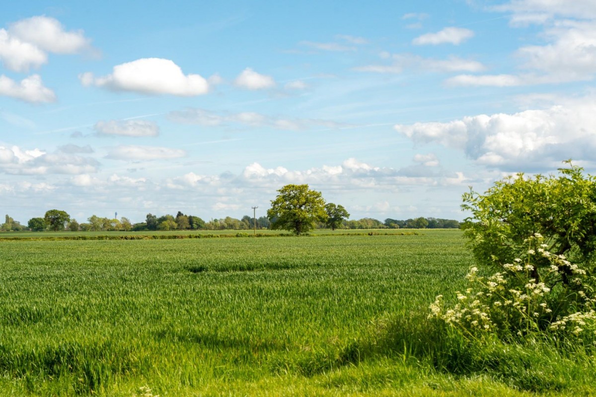 Mill Lane, Ryther, Tadcaster