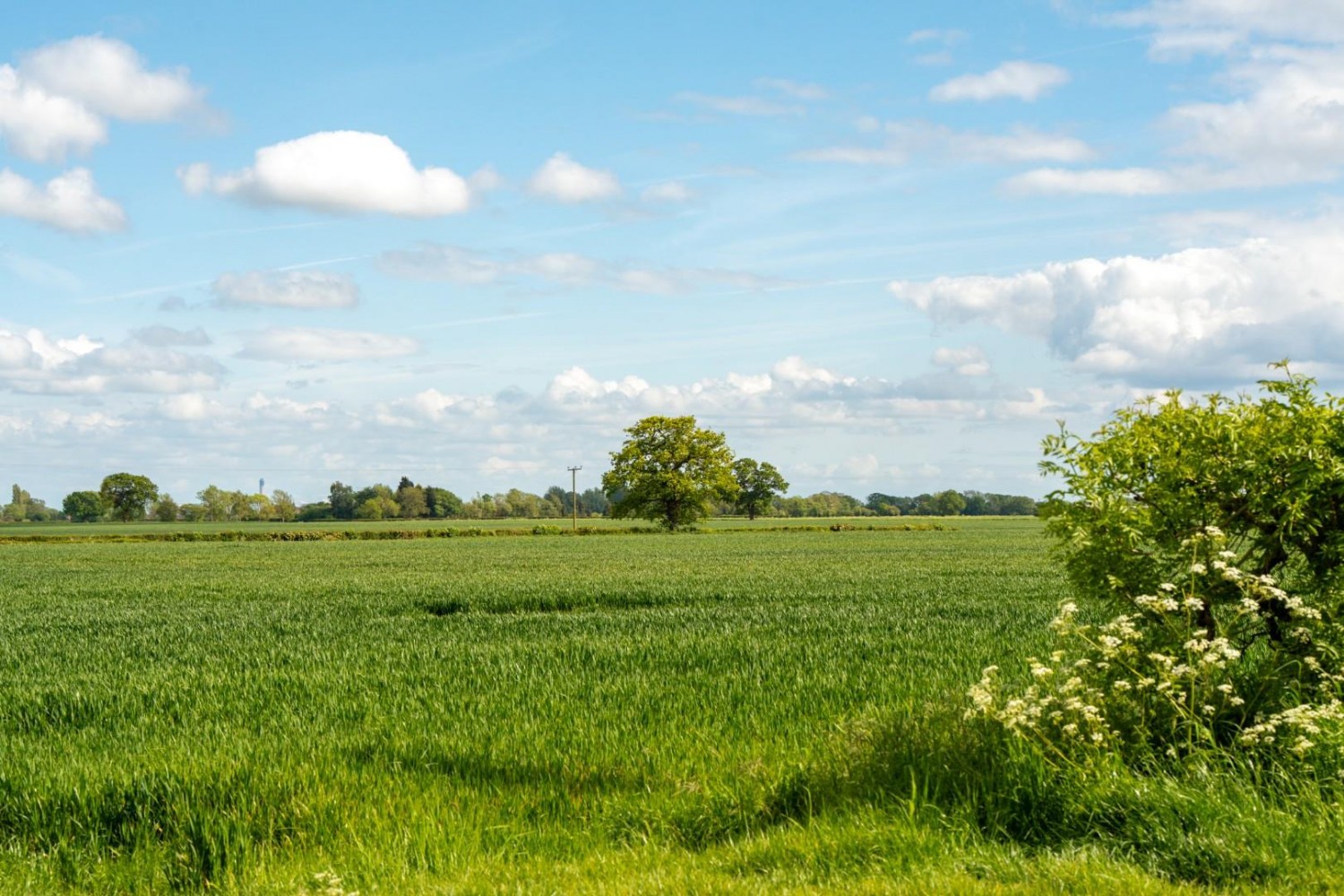 Mill Lane, Ryther, Tadcaster
