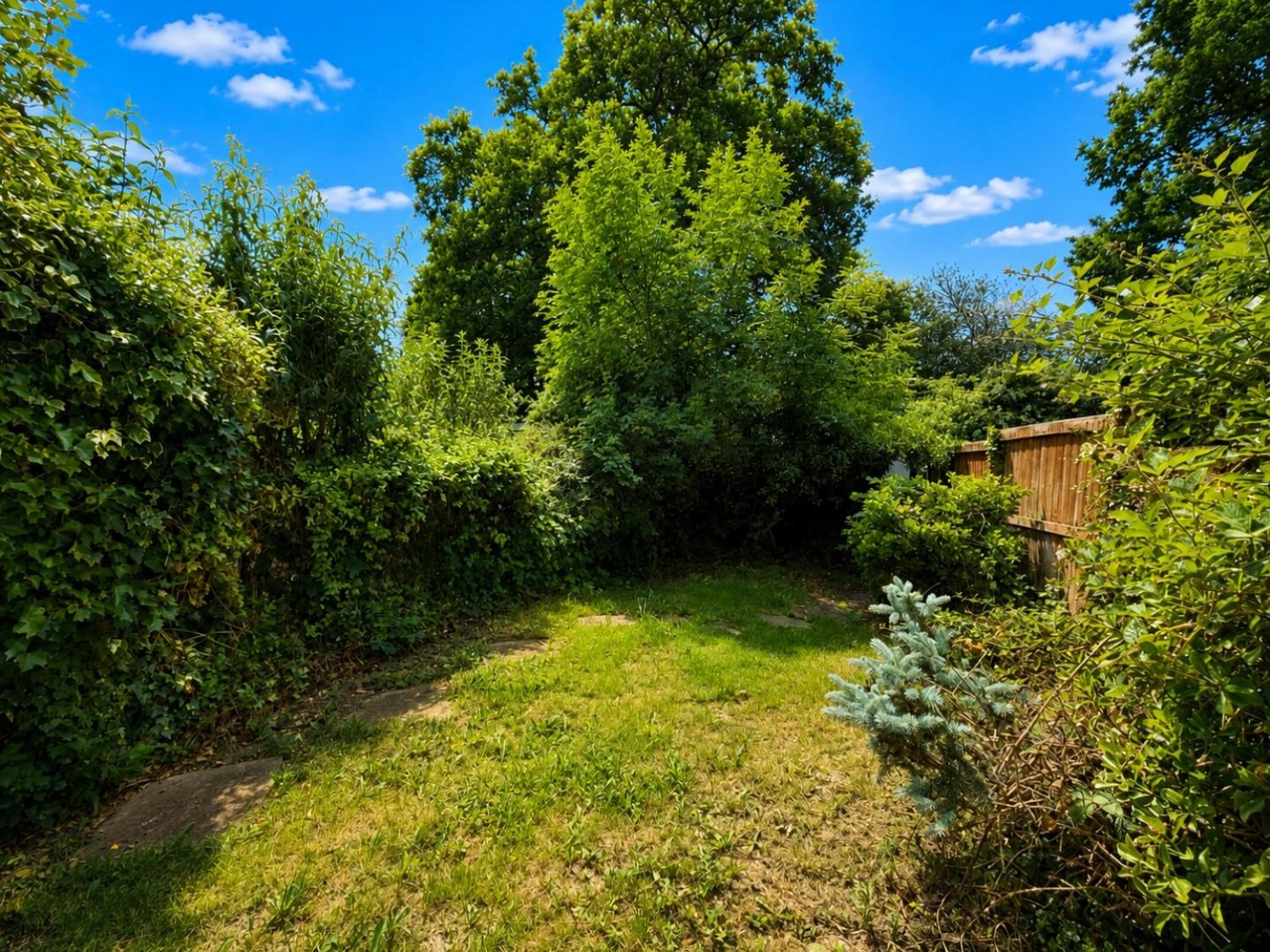 Springwood Drive, Ashford