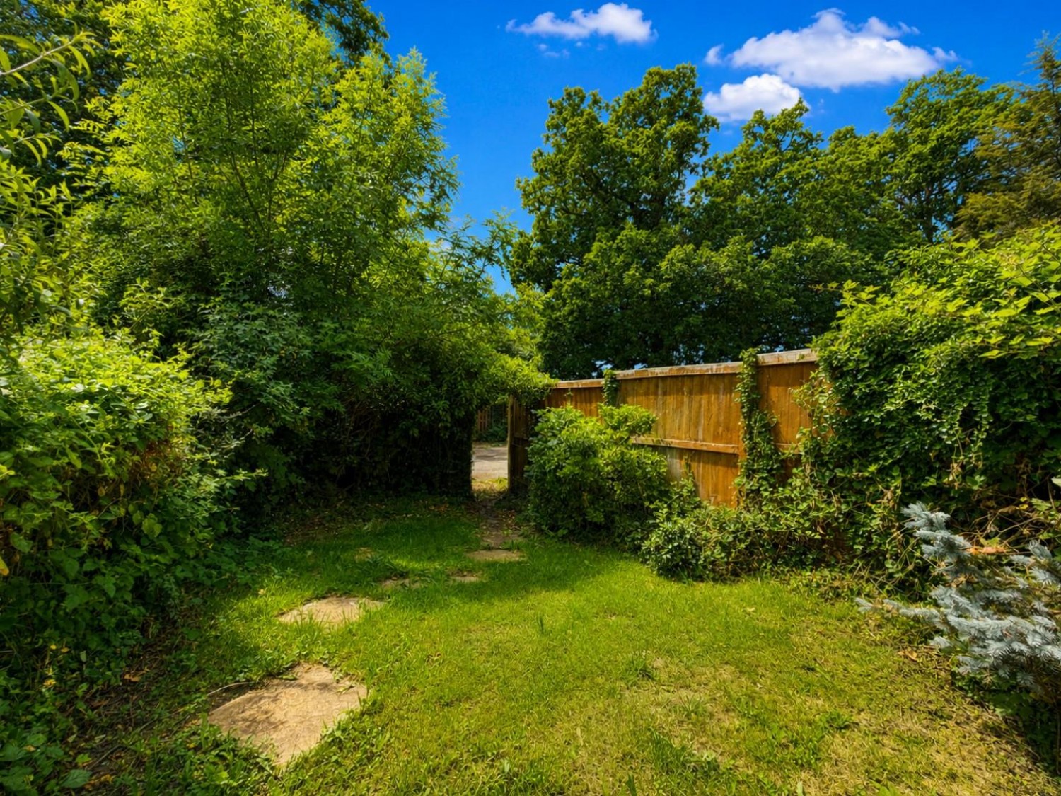 Springwood Drive, Ashford