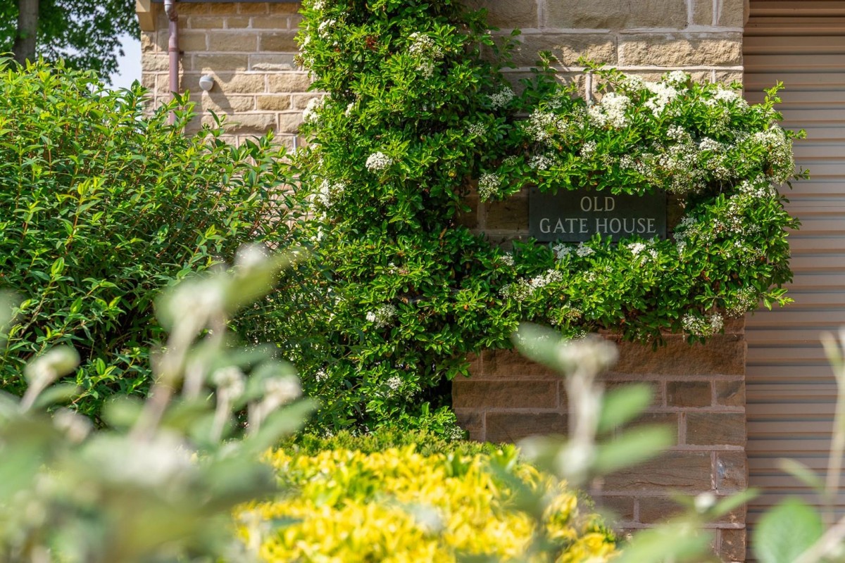 Wingfield Court, Bingley