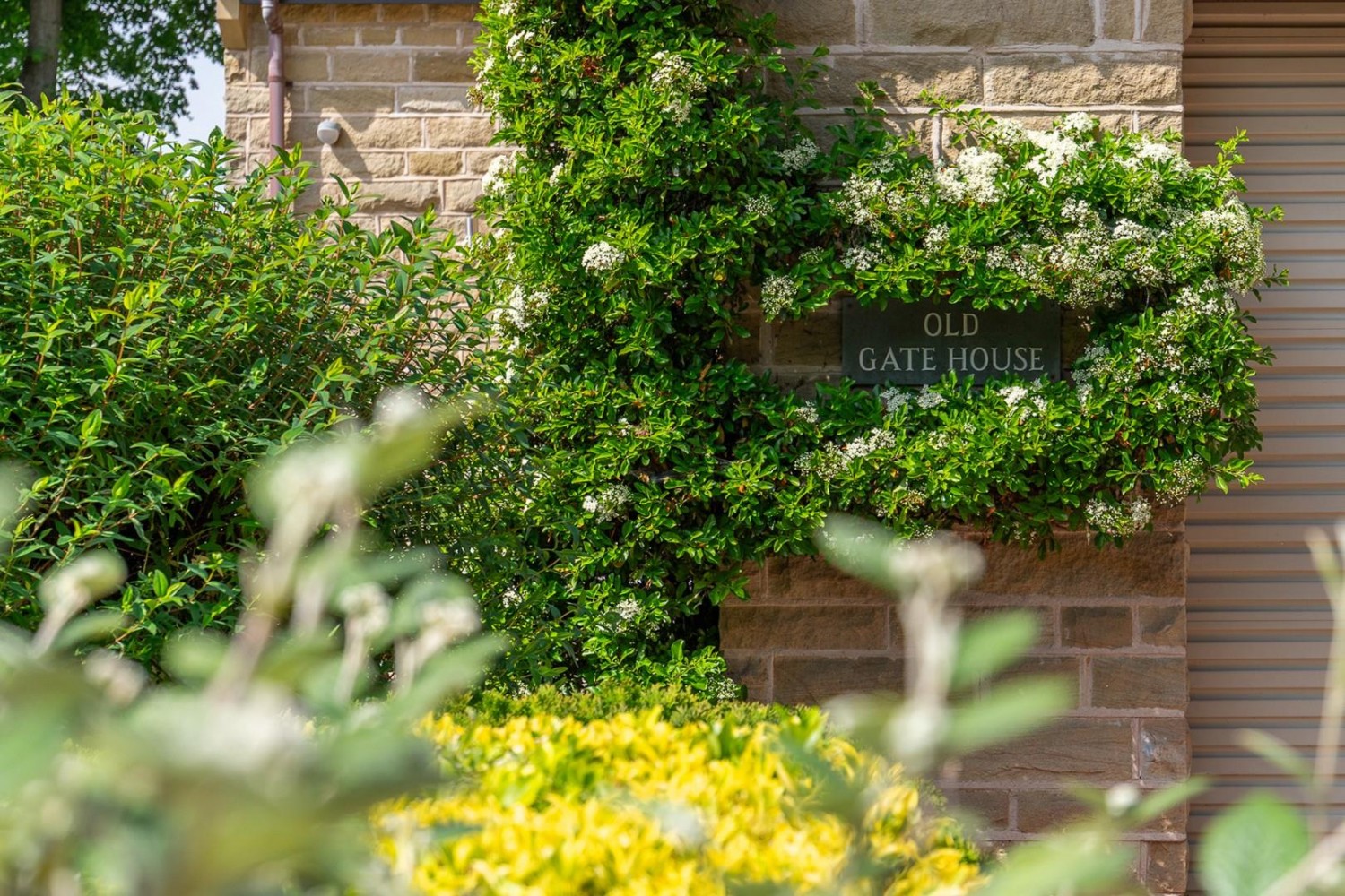 Wingfield Court, Bingley