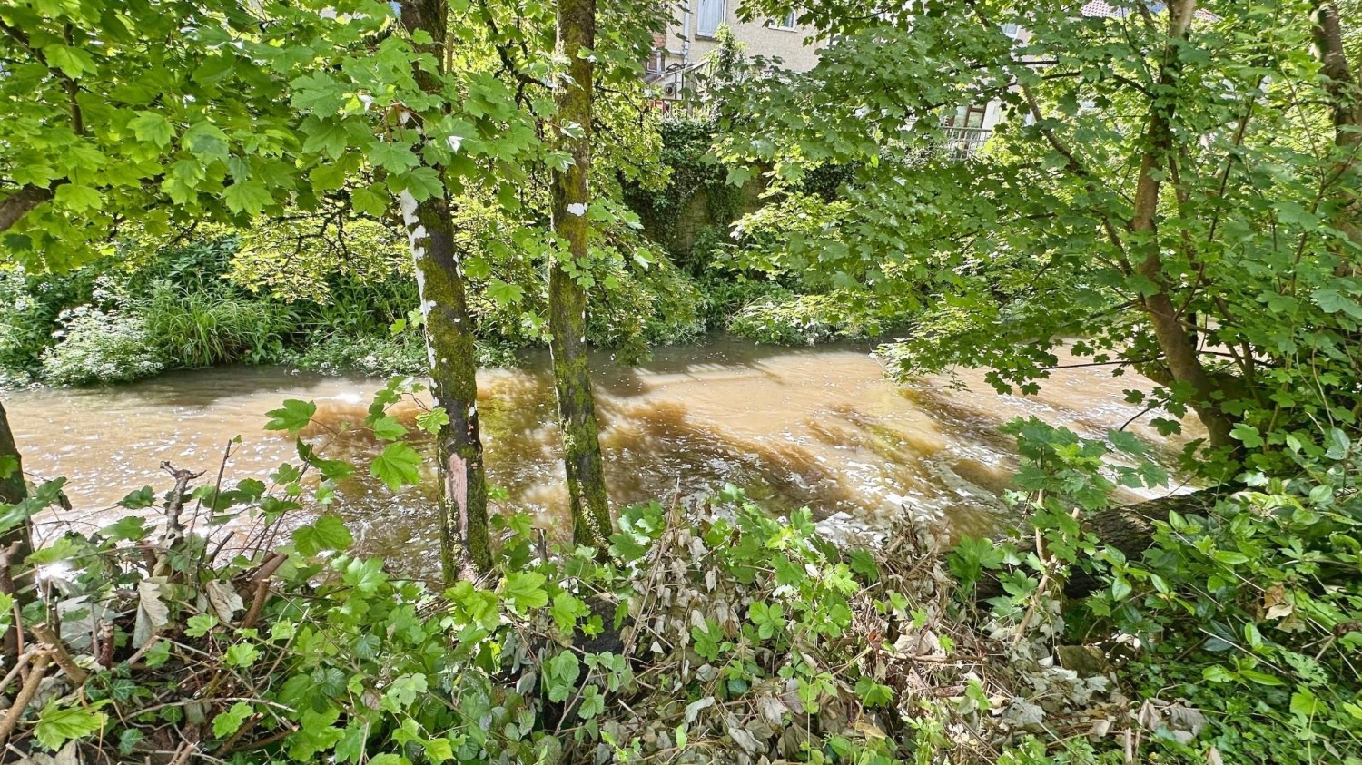 Hedgemead View, Stapleton, Bristol