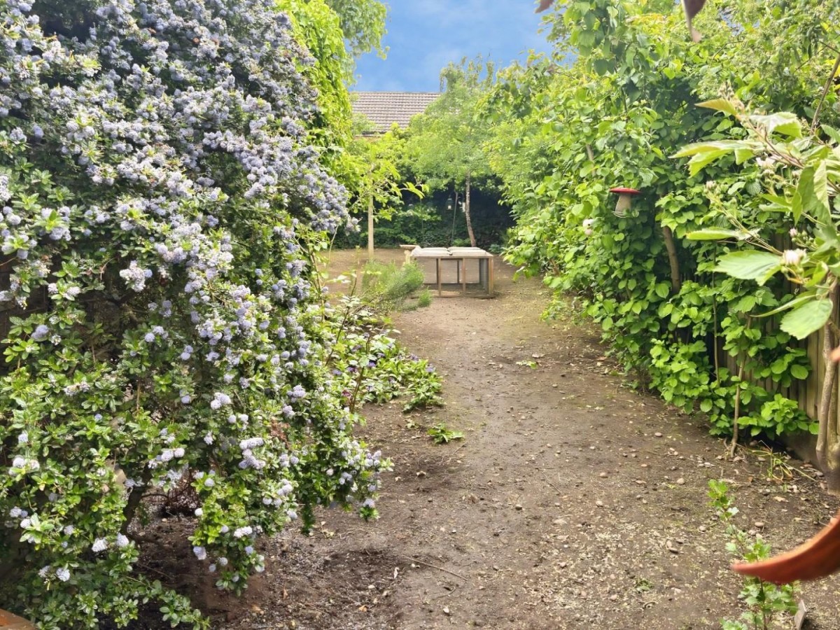 Hornsey Grove, Birmingham