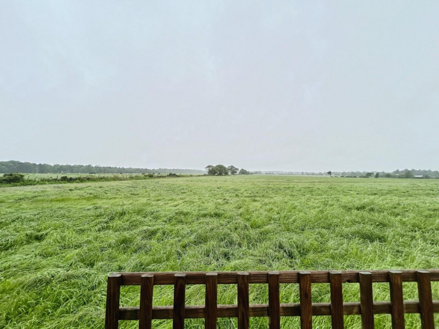 Burley Bank Road, Killinghall