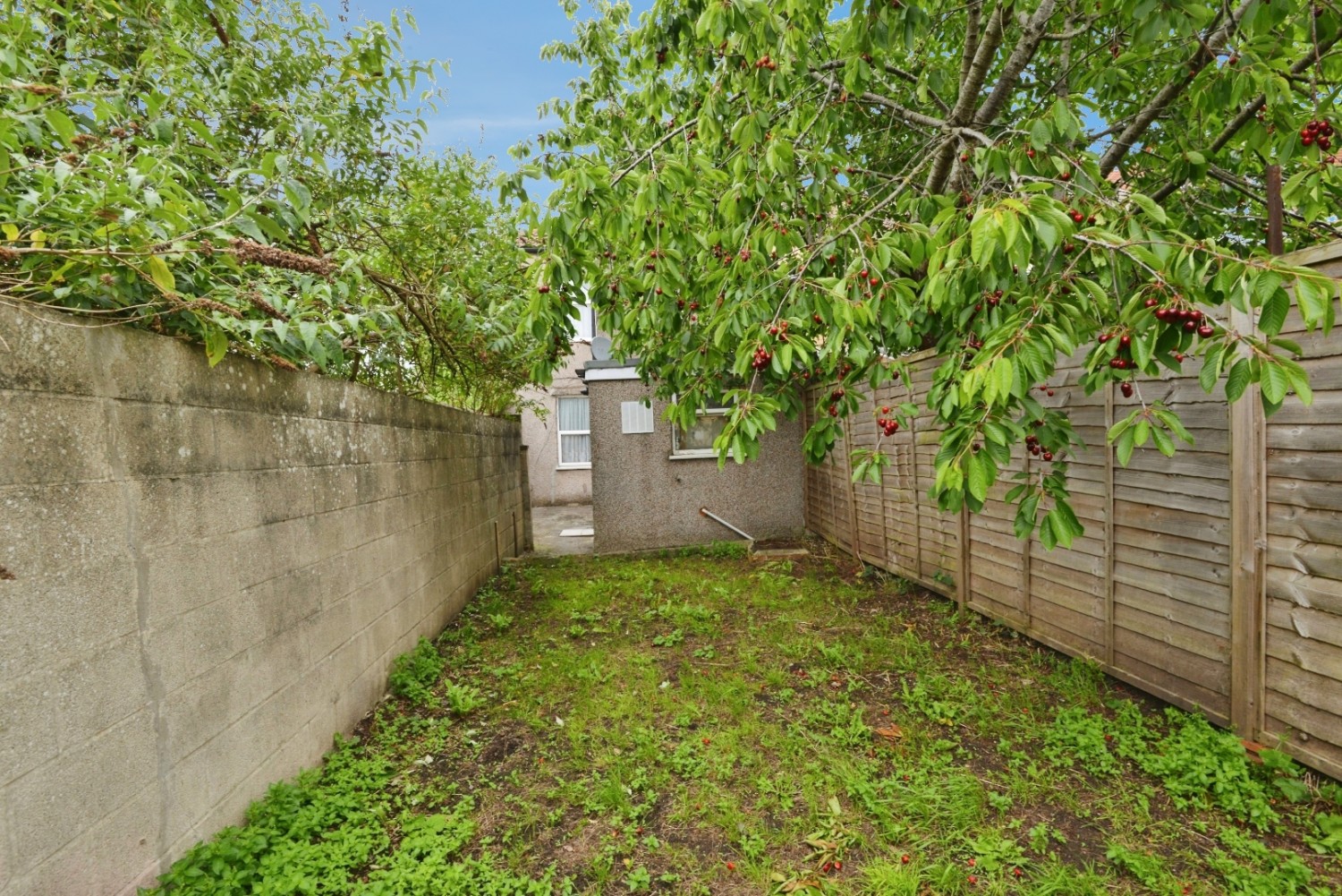 Freemantle Road, Bristol BS5 6SY