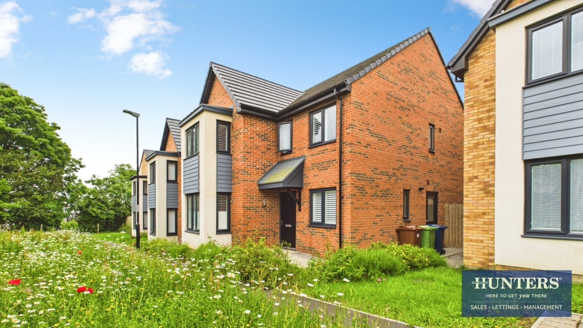 Angelica Gardens, Moorside, Sunderland