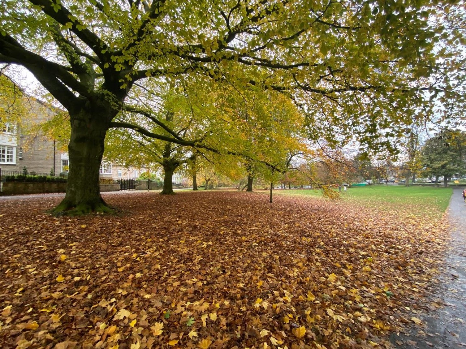 Montpellier Apartments, Parliament Terrace, Harrogate, HG1 2QY