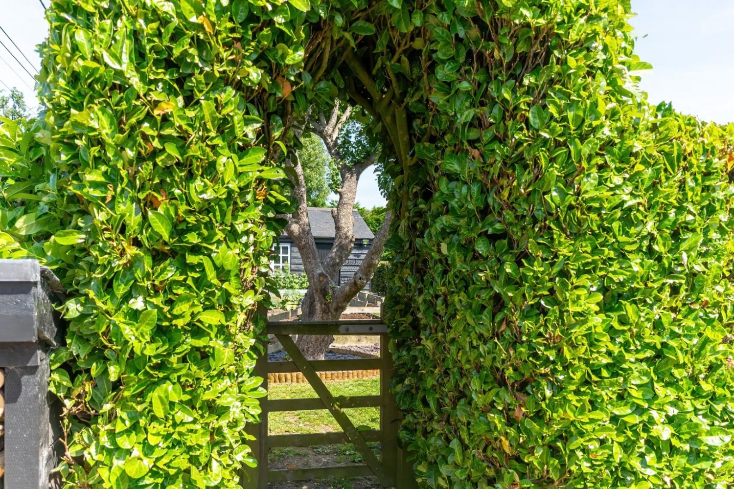 Pear Tree Cottage, Hastoe