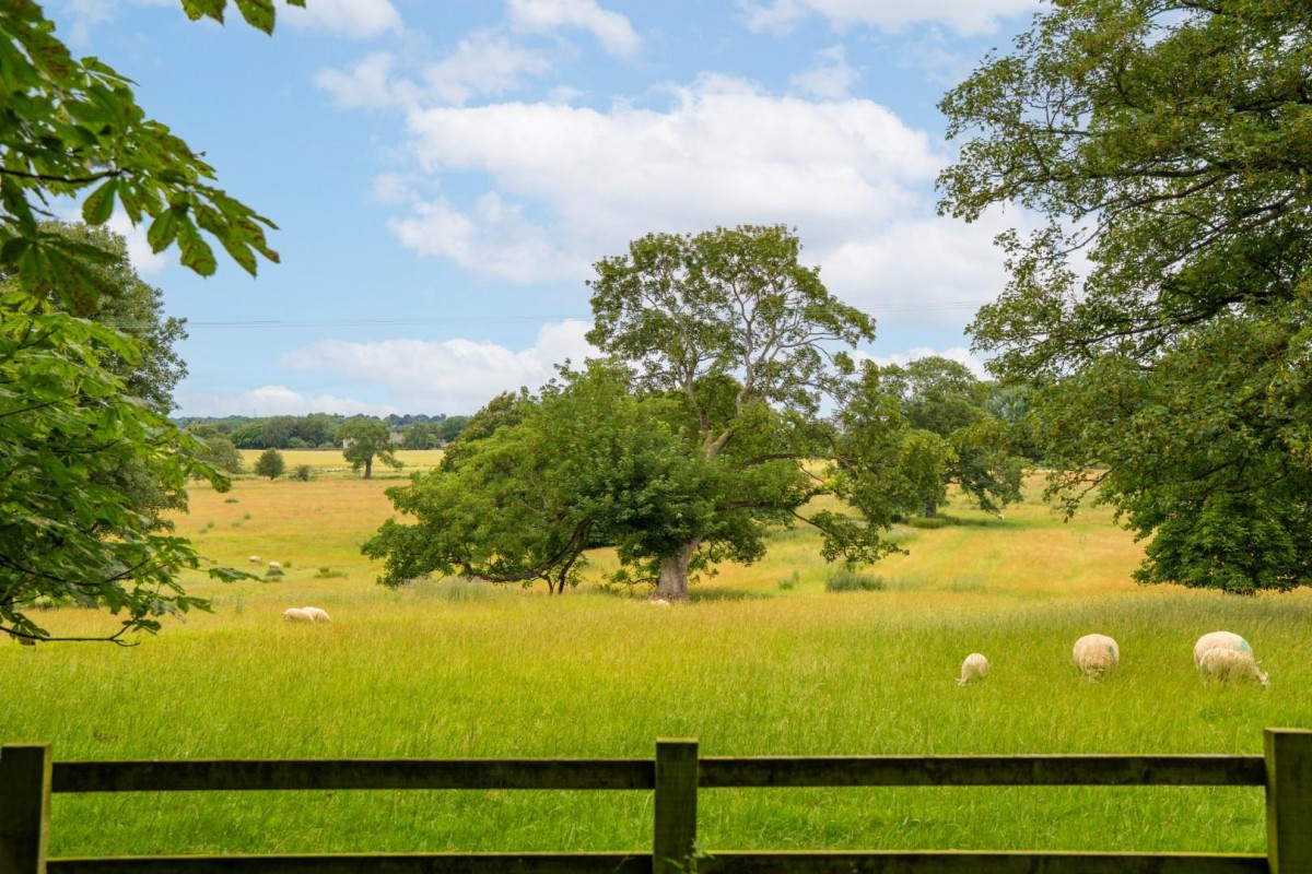 Grimston Park, Grimston, Tadcaster
