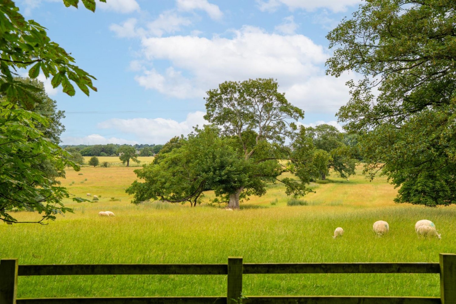 Grimston Park, Grimston, Tadcaster