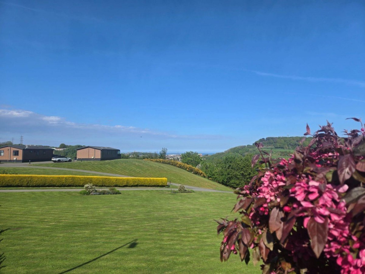 Swift Loire, Scarborough Lodge Retreat, Scarborough