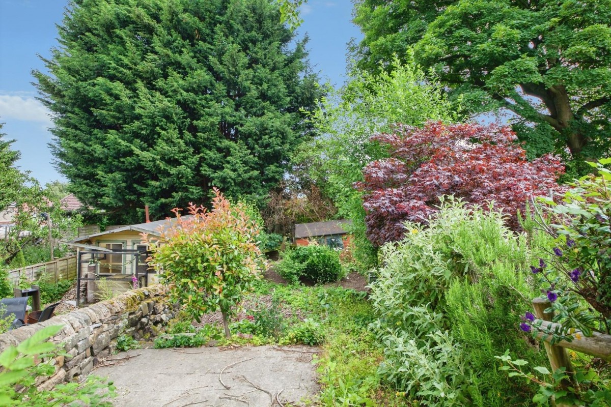 Studfield Hill, Wisewood, S6