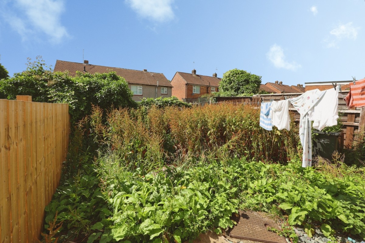 Jasmine Avenue, Shildon