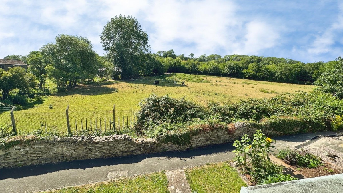 Long Meadow, Bristol