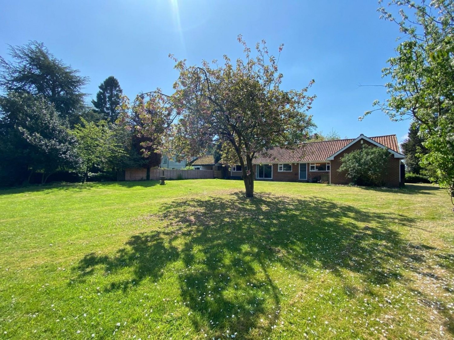 3 bedroom Bungalow to let in Mill Lane, Acaster Malbis