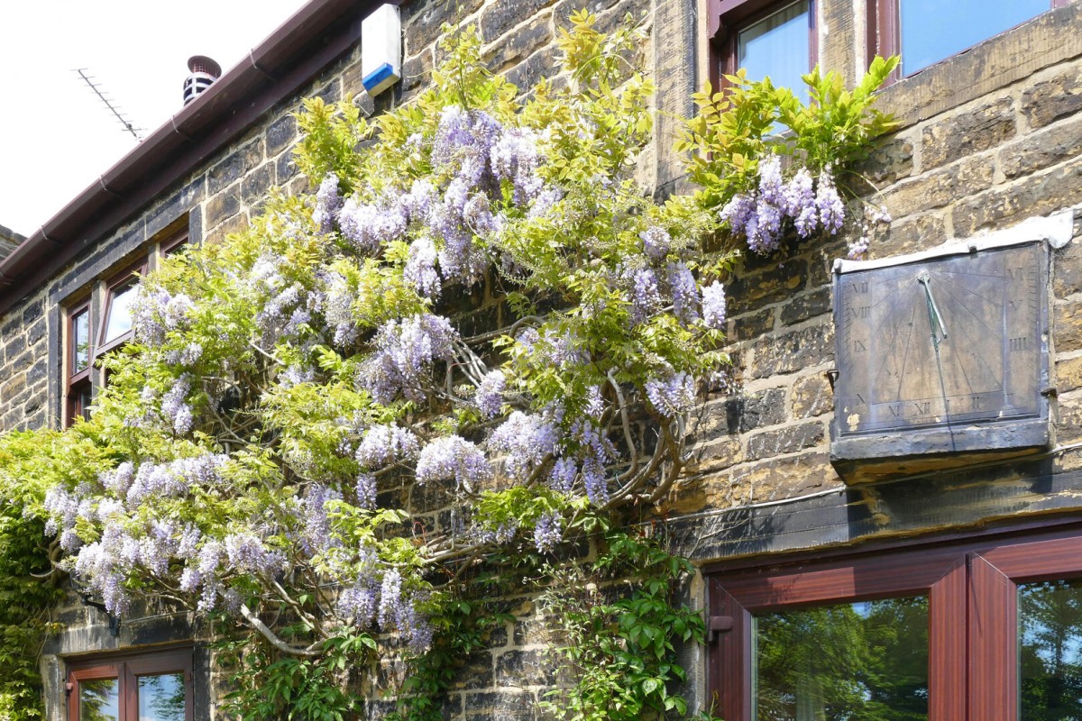 Town Street, Rawdon, Leeds