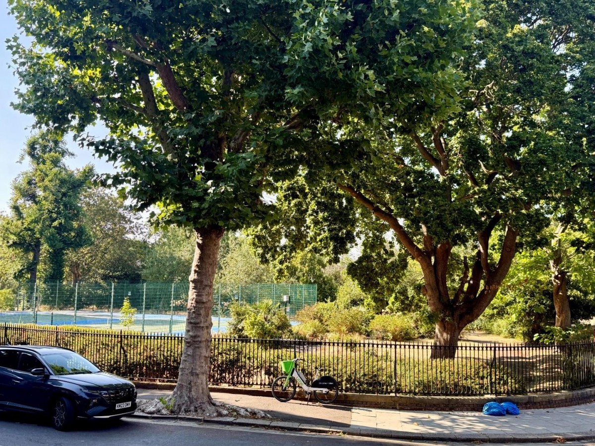 Brunswick Park, London, SE5