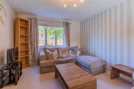 Fields Park Road, Pontcanna