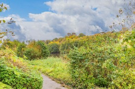 Grangemoor Court, Cardiff