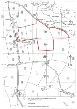 Cwm-Yr-Eglwys, Dinas Cross, SA42