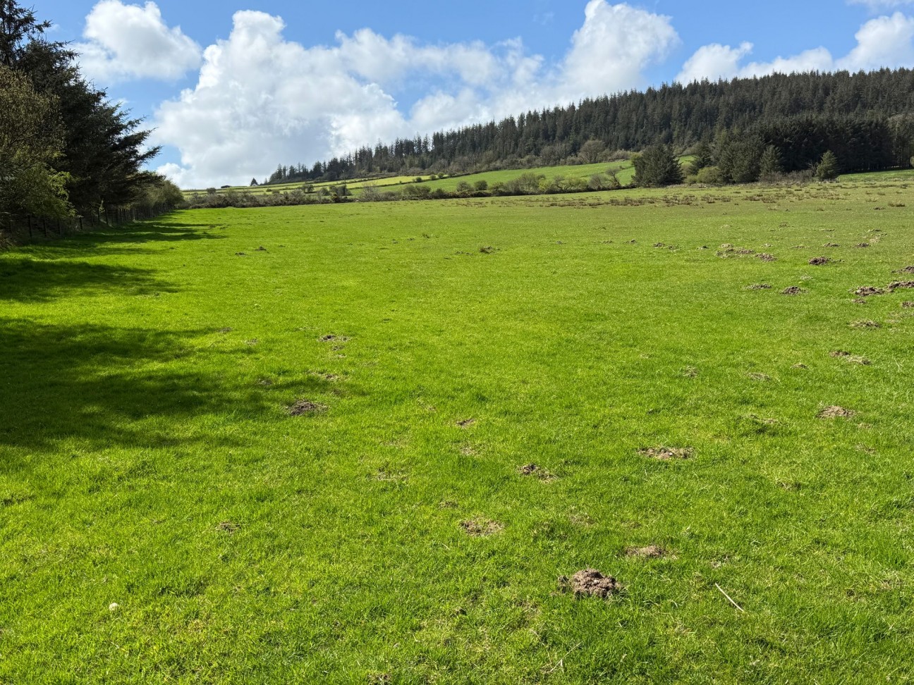 Rhosfach, Clynderwen, SA66