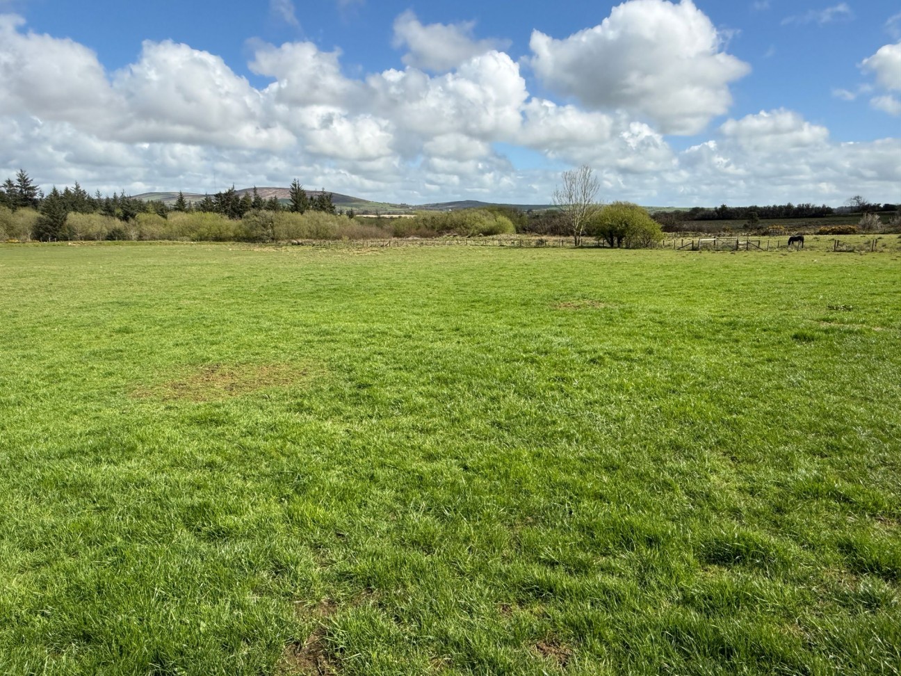Rhosfach, Clynderwen, SA66