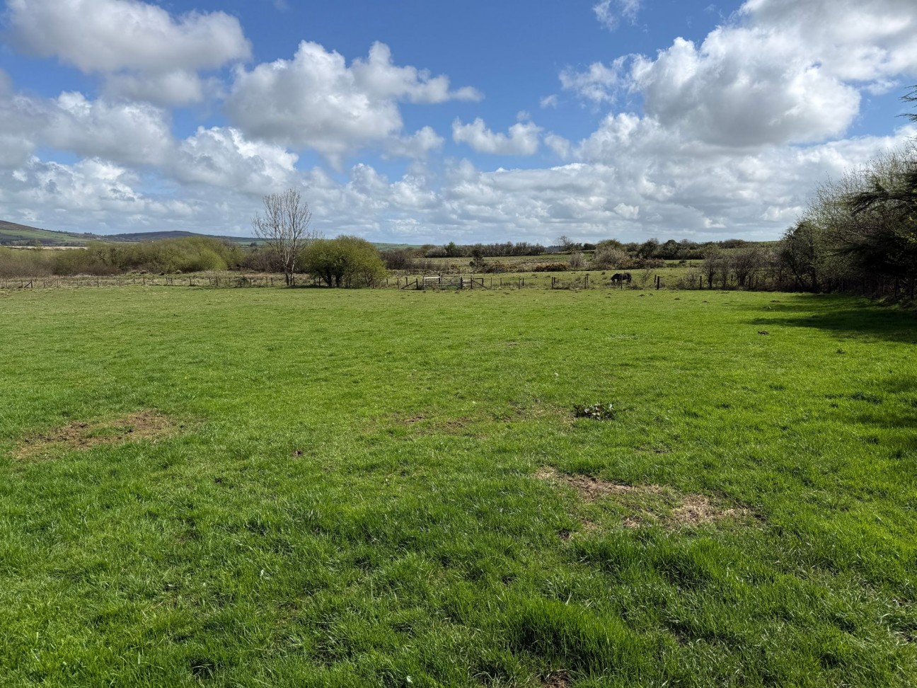 Rhosfach, Clynderwen, SA66