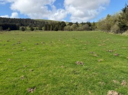 Rhosfach, Clynderwen, SA66