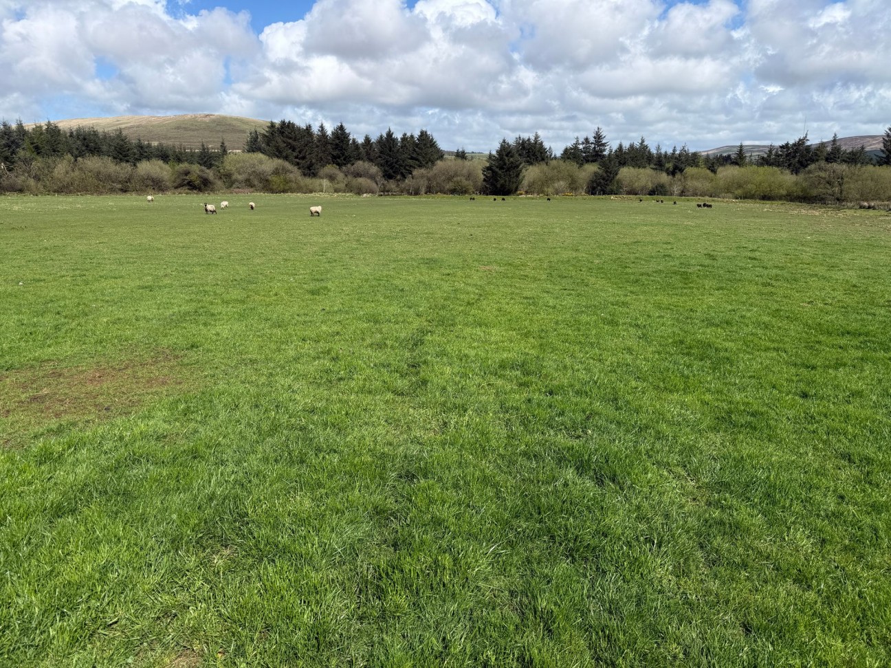 Rhosfach, Clynderwen, SA66