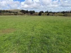 Rhosfach, Clynderwen, SA66