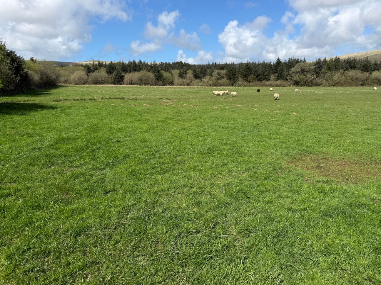 Rhosfach, Clynderwen, SA66