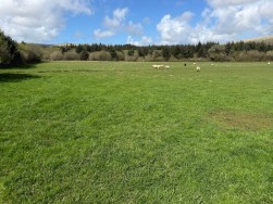 Rhosfach, Clynderwen, SA66