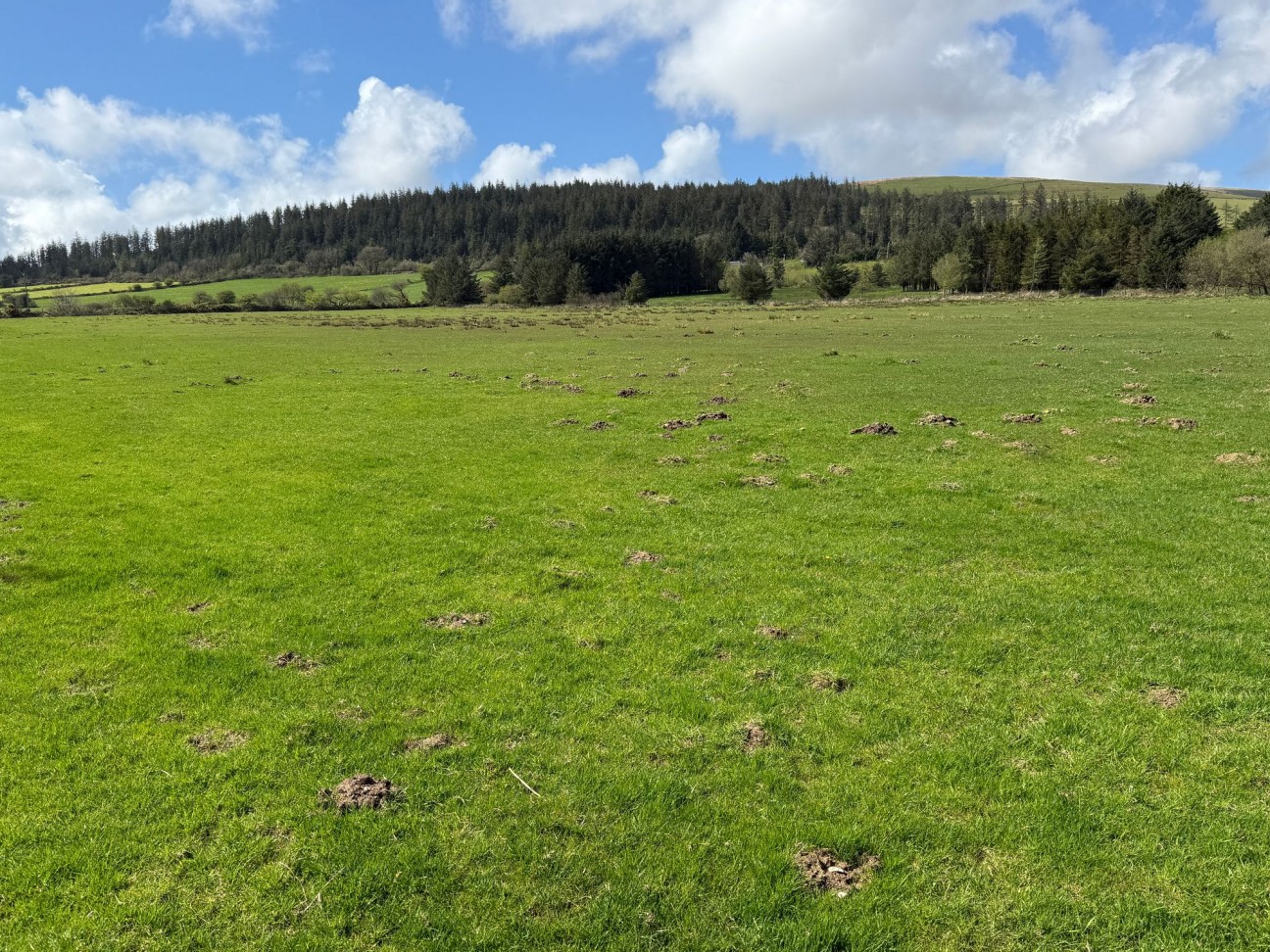 Rhosfach, Clynderwen, SA66