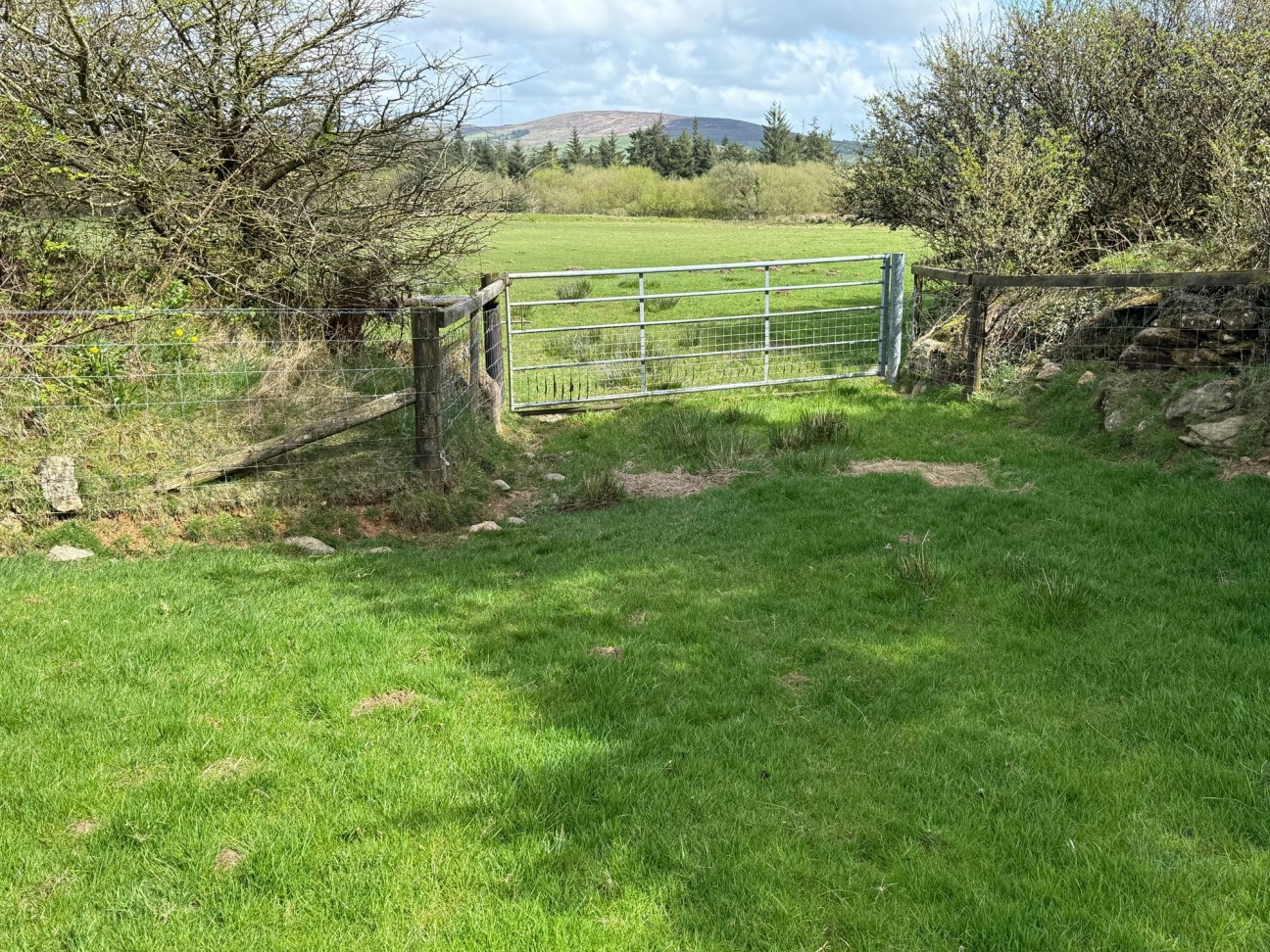 Rhosfach, Clynderwen, SA66