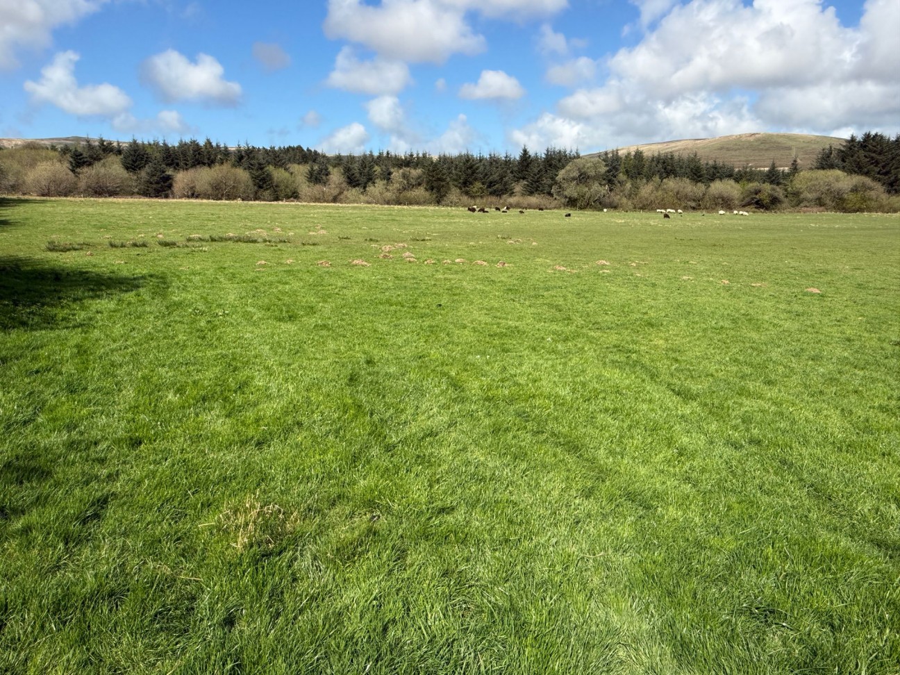 Rhosfach, Clynderwen, SA66