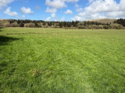 Rhosfach, Clynderwen, SA66