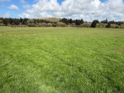 Rhosfach, Clynderwen, SA66