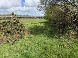 Rhosfach, Clynderwen, SA66