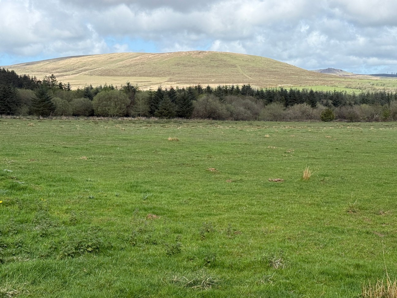 Rhosfach, Clynderwen, SA66