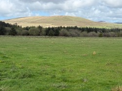 Rhosfach, Clynderwen, SA66