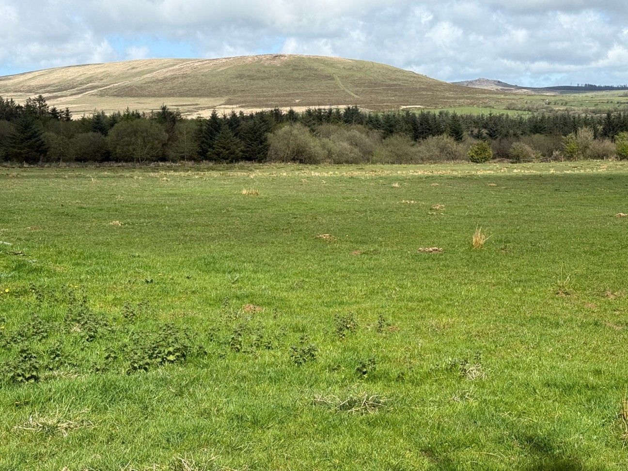 Rhosfach, Clynderwen, SA66