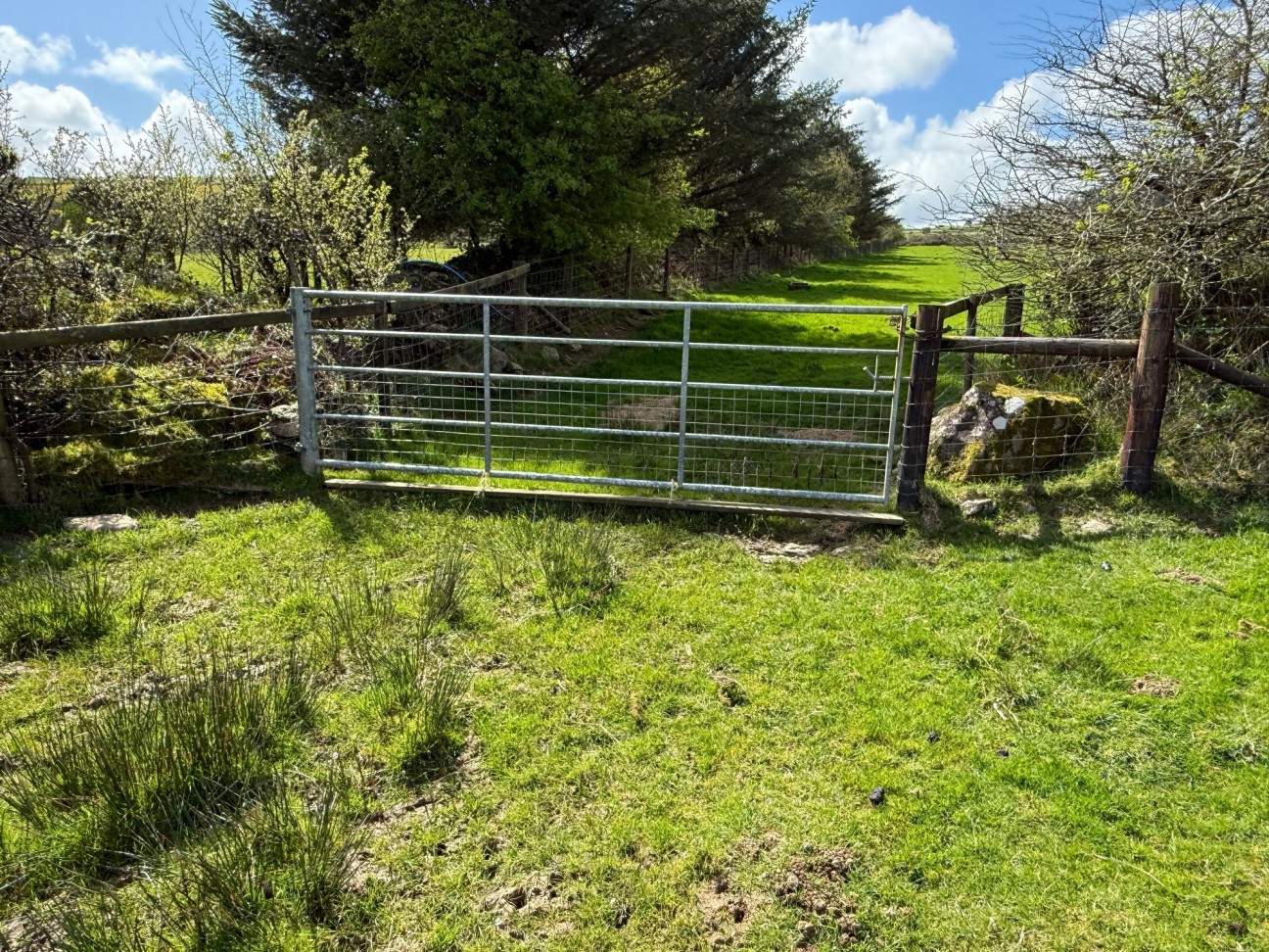 Rhosfach, Clynderwen, SA66